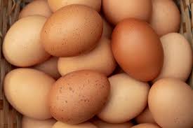egg,jpeg