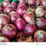 onion