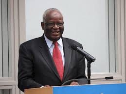professor Ibrahim Gambari