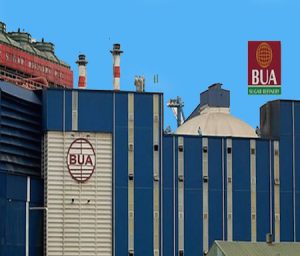 BUA-Group-1