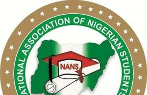 NANS-300×194