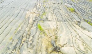 Untitled-10