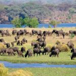 mana-pools-national-park-1024×680