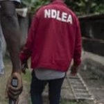 ndlea