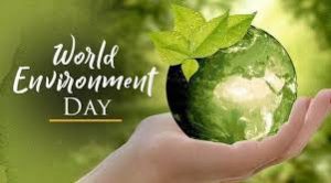 word environment day