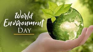 word environment day