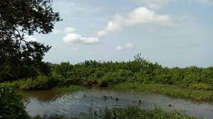 Biase Local Government