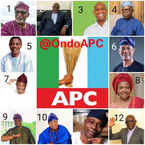 Ondo Guber: APC appeal committee clears 12 contenders