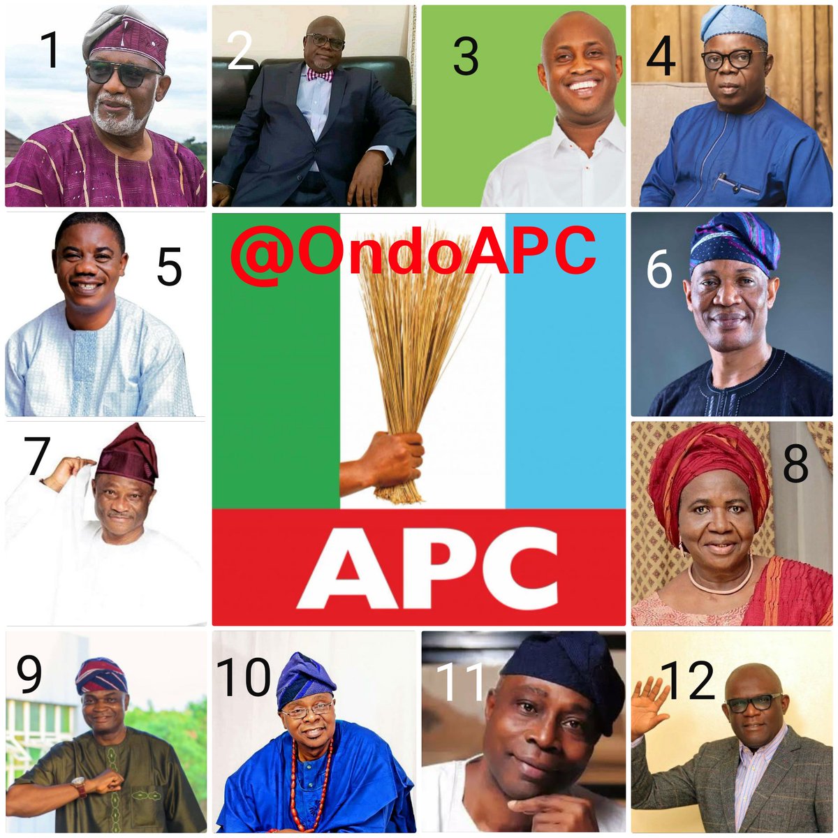 Ondo Guber: APC appeal committee clears 12 contenders