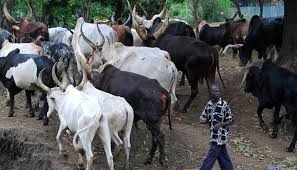 Herdsmen