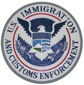 ICE-Seal