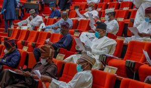 Nigerian-Senate.-