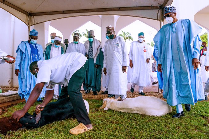 buhari main