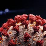 Illustration of a Corona virus cell