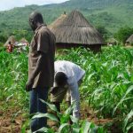 farmers-624×430