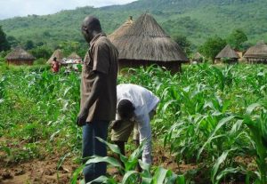 farmers-624×430