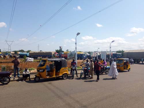 gombe