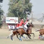 indiscriminate horse