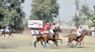 indiscriminate horse
