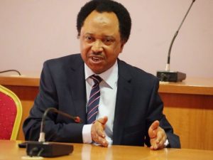 06832e64-shehu-sani-696×522