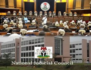 National-Judicial-Council-njc_450