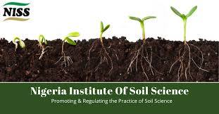 soil