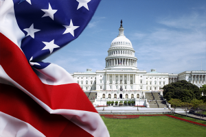 Government-Politics