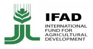 International-Fund-For-Agricultural-Development-IFAD