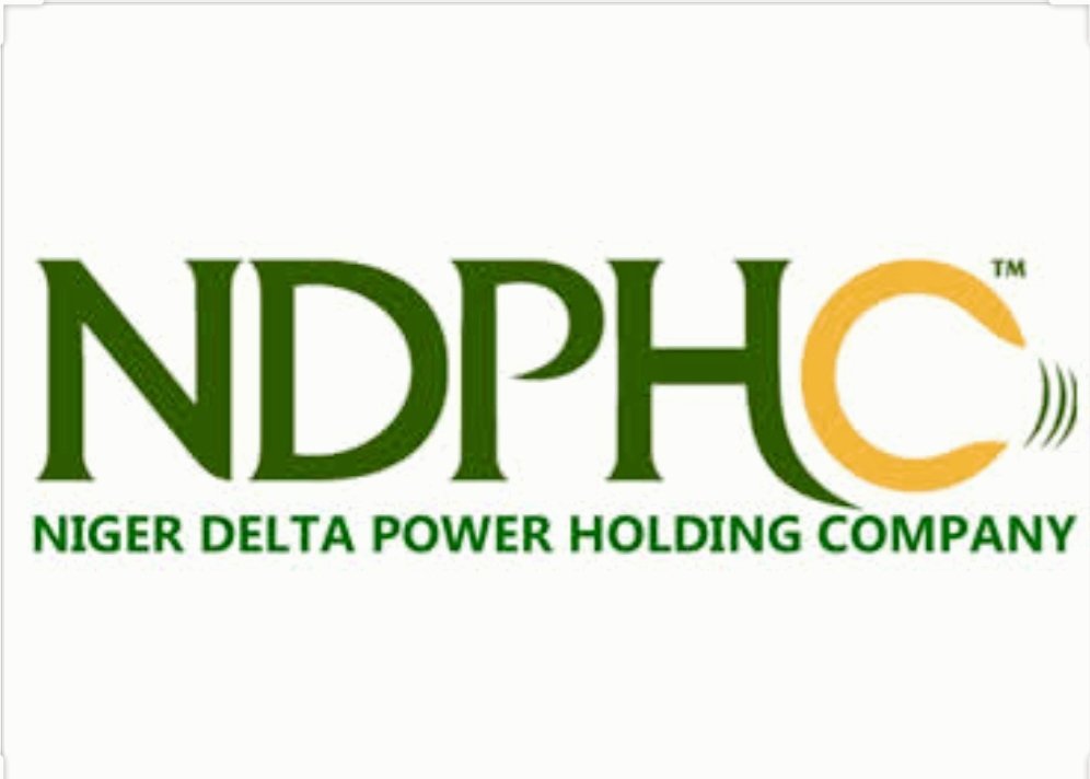 NIGER-DELTA-POWER-HOLDING-COMPANY-LIMITED