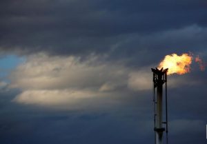 Oil