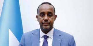 Somali leader names new prime minister