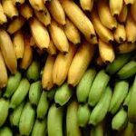 banana