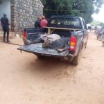 Unknown gunmen kill policeman, motorcycle rider in Benue