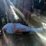 #EndSARS protests: One killed, another injured in Ogbomoso