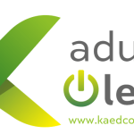 Kaduna-Electric-logo