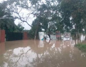 Kd-flood