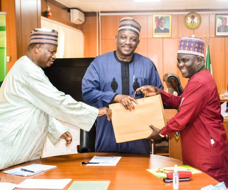 Minister of Power Mr Sale Mamman (C)