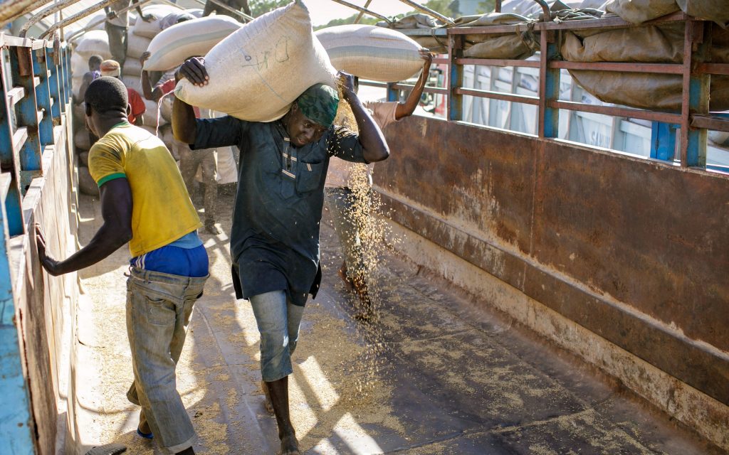 Workers-offload-sacks-of-paddy-at-Labana-Rice-Mills-in-Kebbi-State-Nigeria-Credit-Thomas-Imo_photothek_GIZ_trans_NvBQzQNjv4BqWVBkYw-opMOZJ4YYfWRTqHjR-FzpfEXwm8FqKDidbjg