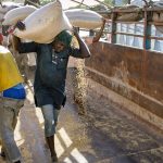 Workers-offload-sacks-of-paddy-at-Labana-Rice-Mills-in-Kebbi-State-Nigeria-Credit-Thomas-Imo_photothek_GIZ_trans_NvBQzQNjv4BqWVBkYw-opMOZJ4YYfWRTqHjR-FzpfEXwm8FqKDidbjg