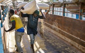 Workers-offload-sacks-of-paddy-at-Labana-Rice-Mills-in-Kebbi-State-Nigeria-Credit-Thomas-Imo_photothek_GIZ_trans_NvBQzQNjv4BqWVBkYw-opMOZJ4YYfWRTqHjR-FzpfEXwm8FqKDidbjg