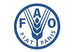 ef9d1fa1-5bc3-440c-9993-7608b6b146e0_FAO logo_eb7080b5_586x394