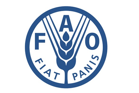 ef9d1fa1-5bc3-440c-9993-7608b6b146e0_FAO logo_eb7080b5_586x394
