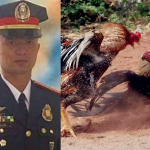 Philippine police officer killed by rooster in illegal cockfight raid