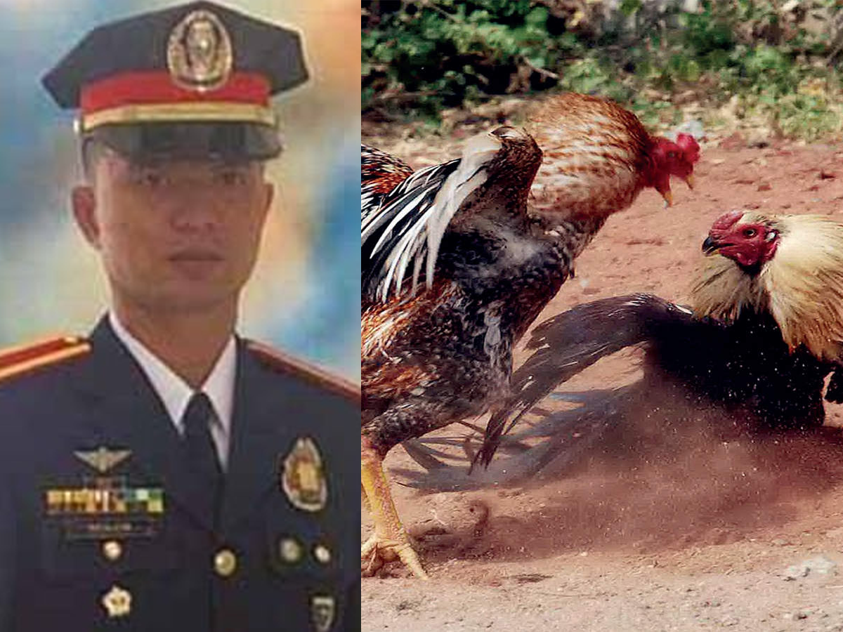 Philippine police officer killed by rooster in illegal cockfight raid