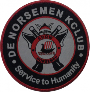 Nigerians detained in Italy not our members – De Norsemen