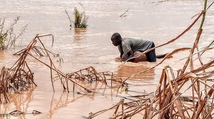 505474-no-fewer-than-158000-people-affected-by-flood-in-kebbi-nema-says