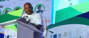 Resident Electoral Commissioner (REC) Enugu State Dr Emeka Ononamadu,