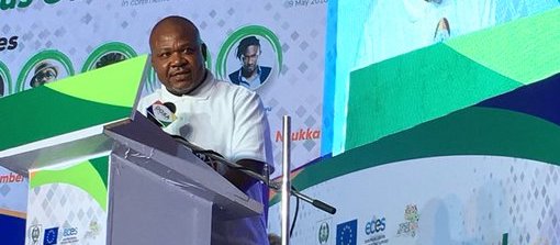 Resident Electoral Commissioner (REC) Enugu State Dr Emeka Ononamadu,