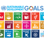 E_2018_SDG_Poster_with_UN_emblem