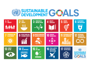 E_2018_SDG_Poster_with_UN_emblem